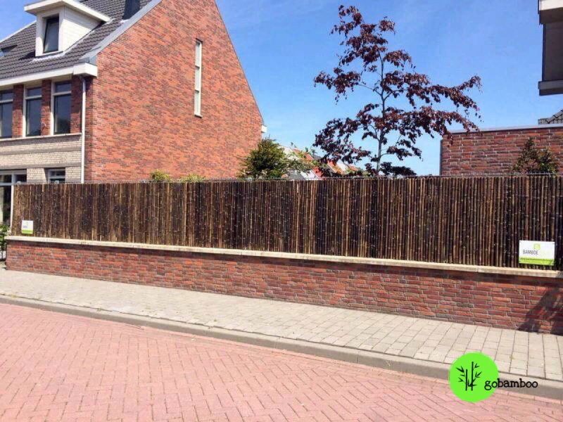 inspirace bambusový plot